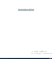 Image of BRIDGES TO NEW BUSINESS